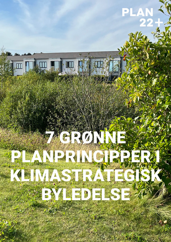 Plan22_Artikler_A4_Thomas_MM_13Dec2024 