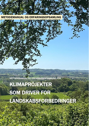 Klimaprojekter som driver for forbedring af landskabet